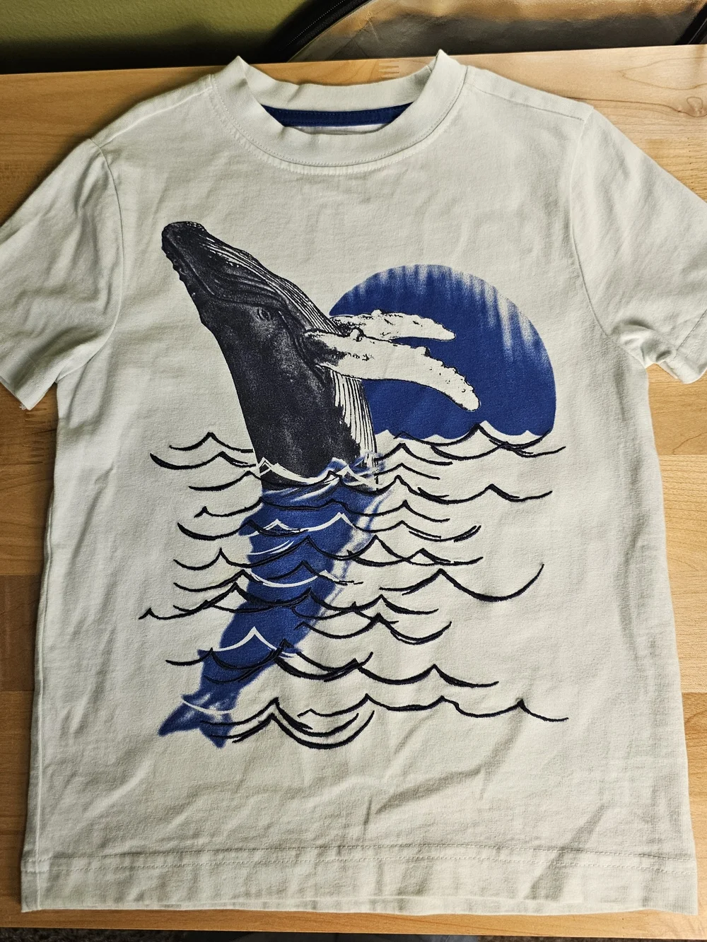 Gymboree Boys Size 5 Whale Ocean Graphic Embroidered T-Shirt Blue Cotton
